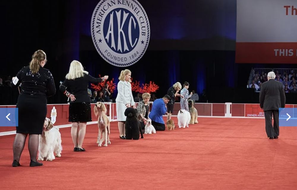 Question of the Week